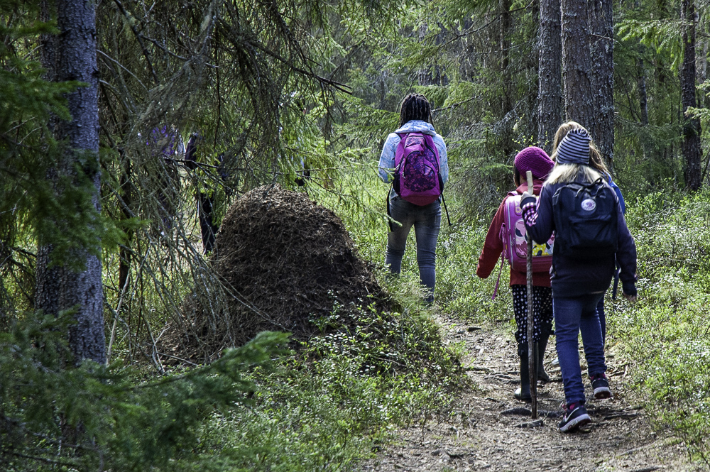 Bild för 'Naturskolan i Umeå'